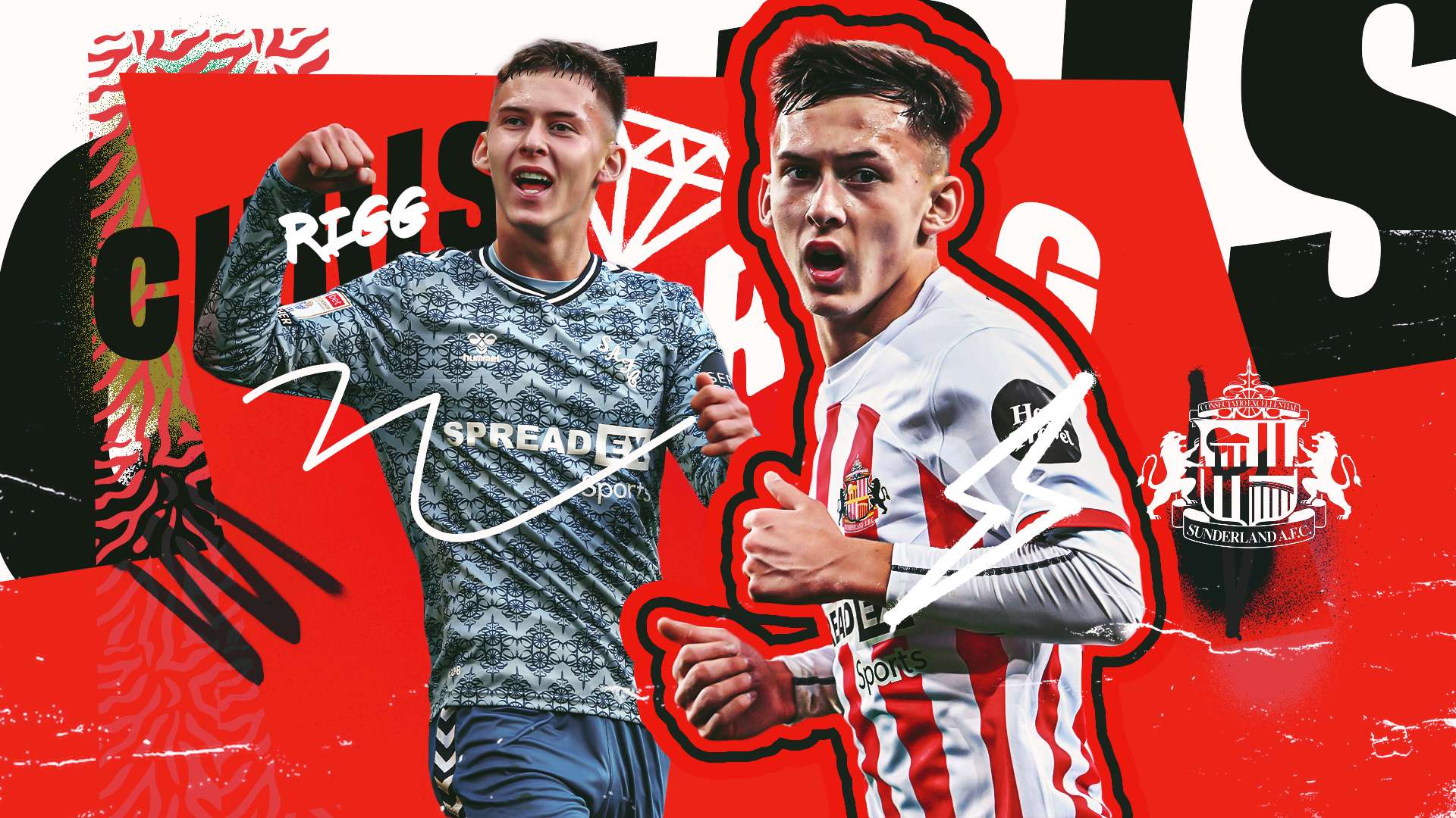 不僅增強了 不僅增強了