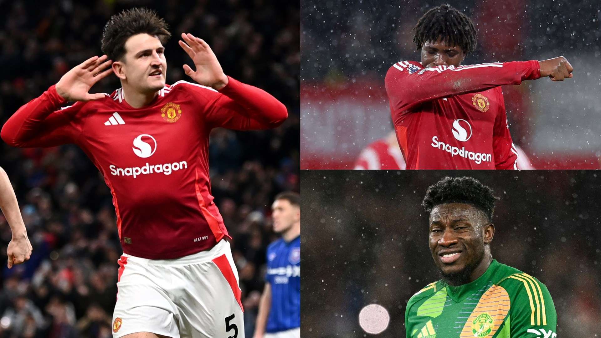 增强整体的 增强整体的