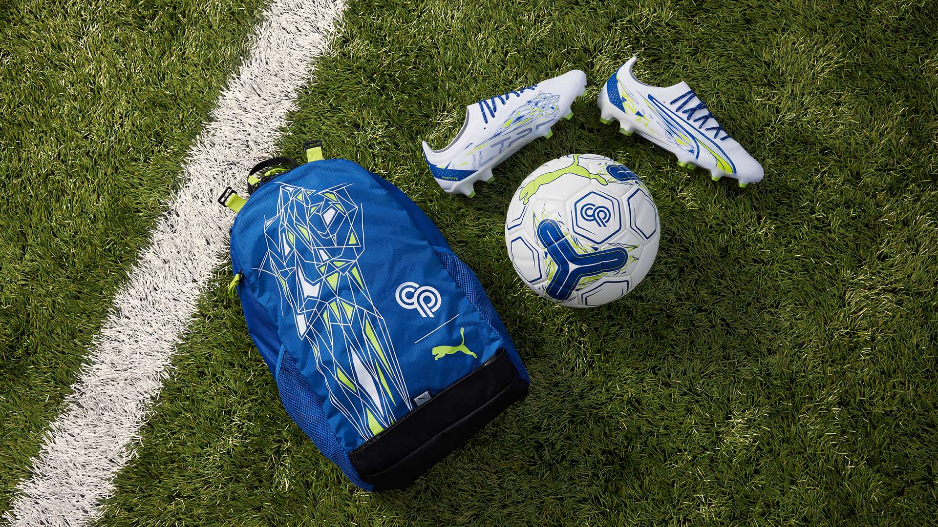 不仅由于明 不仅由于明