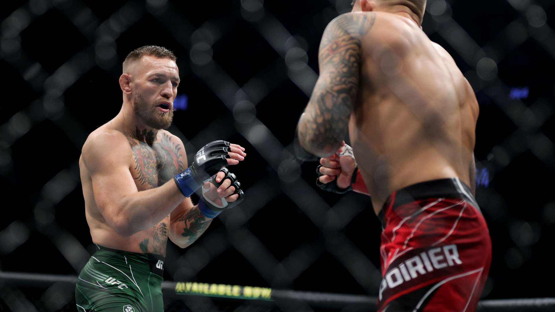 圈带来了深 圈带来了深