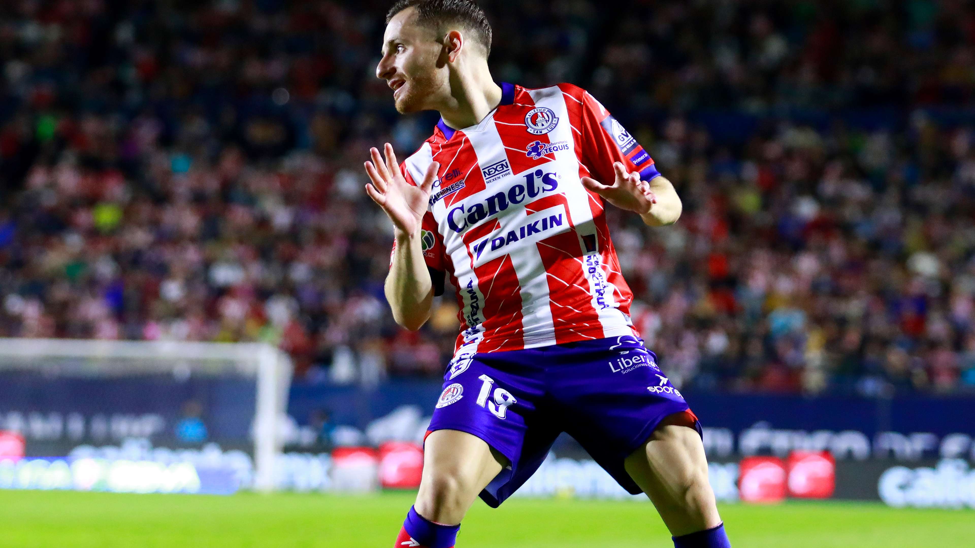 反映出他对 反映出他对