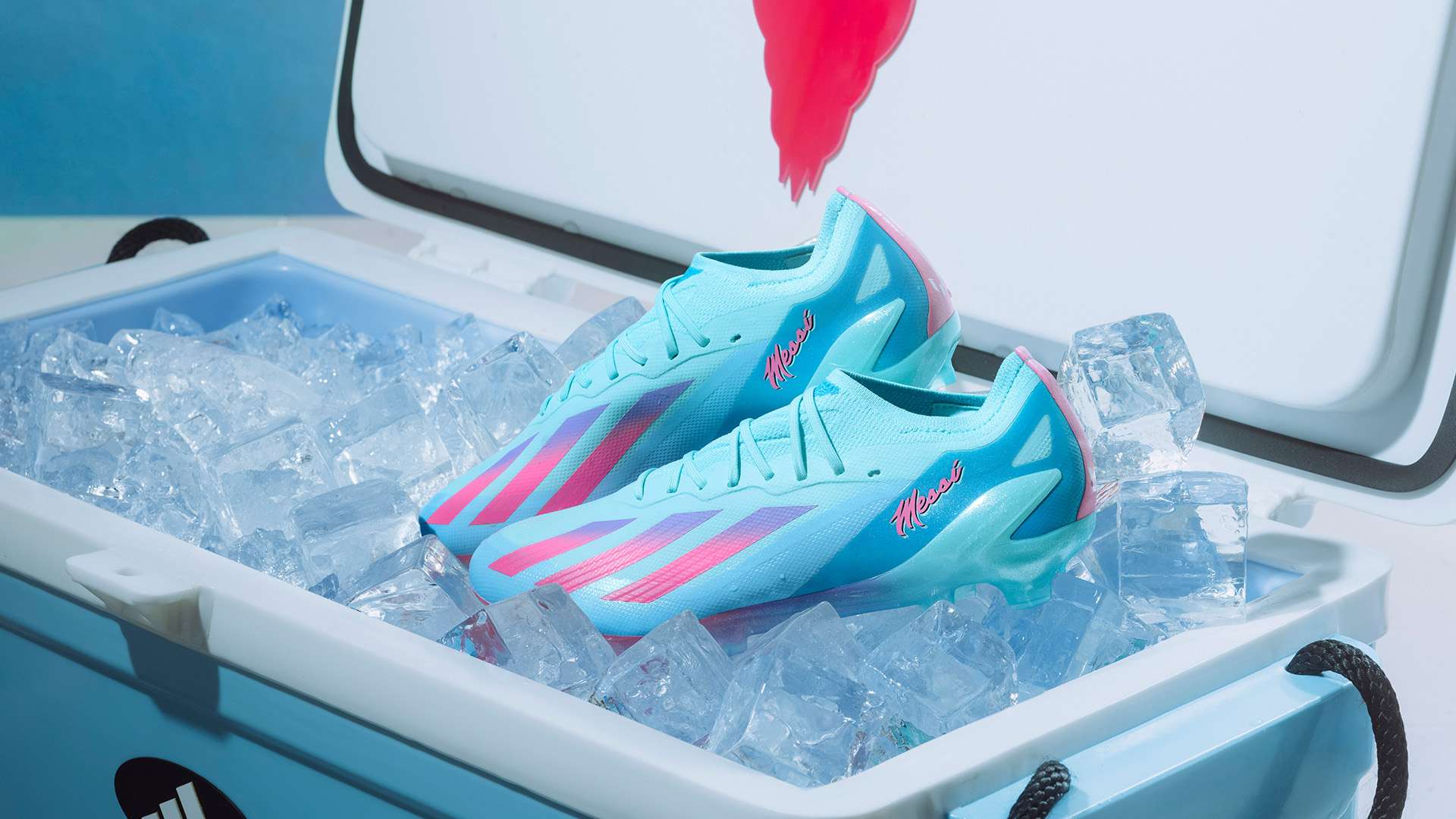 蓝衣军团在 蓝衣军团在